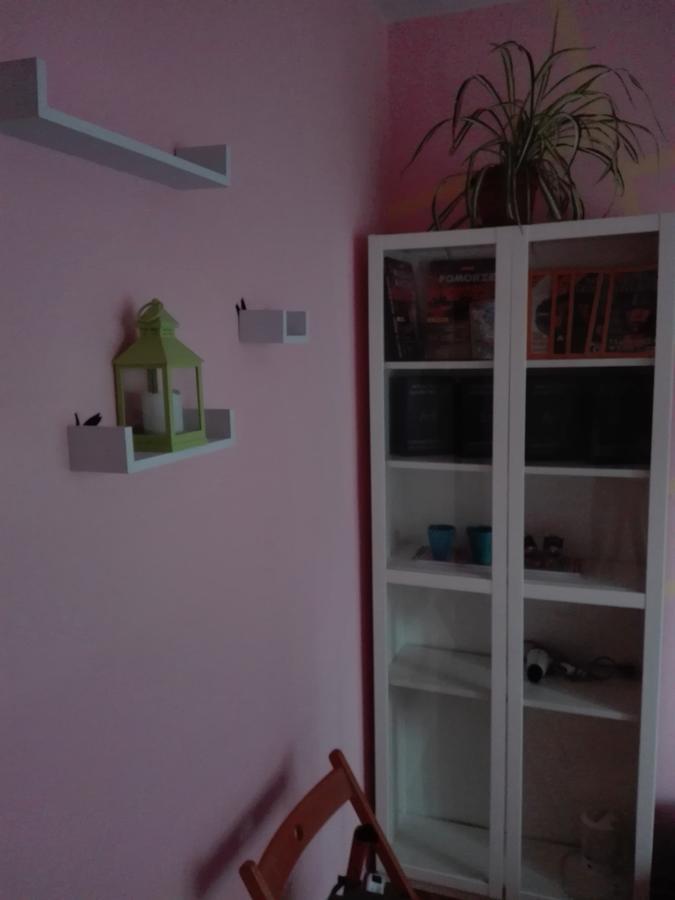 Willanow Varsó Kültér fotó